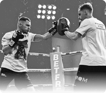 Boxer teams