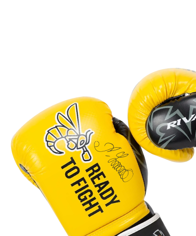 boxing gloves image